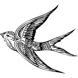 250x250 Sparrow Creative Hair Studio