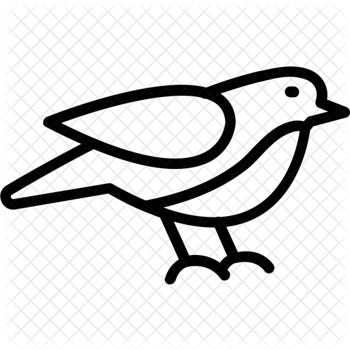 512x512 Sparrow Icon Of Line Style