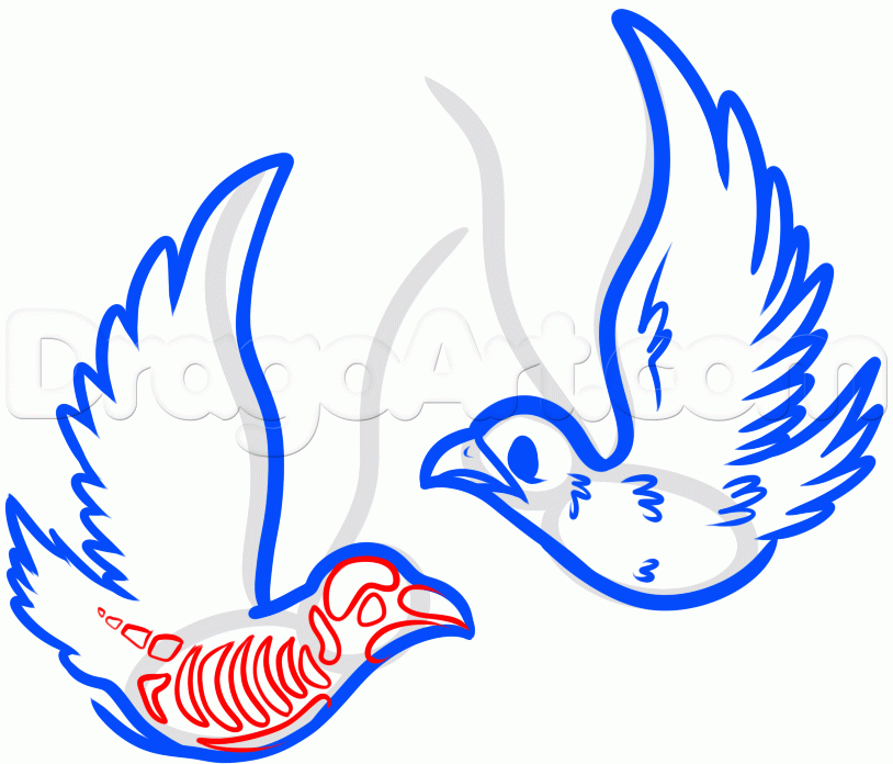 814x696 Step How To Draw A Sparrows Tattoo