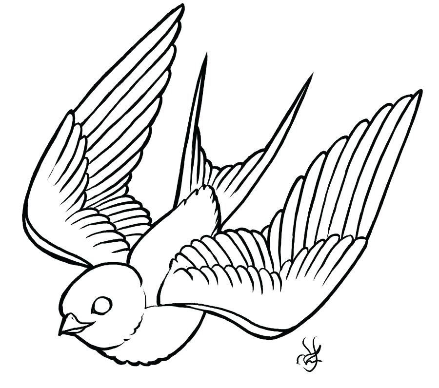 Sparrow Line Drawing | Free download on ClipArtMag