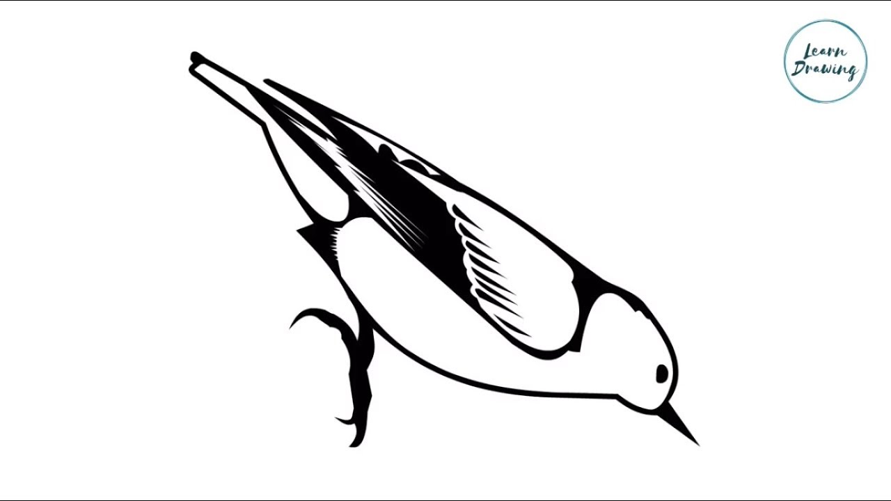 1280x720 How To Draw A Sparrow Step