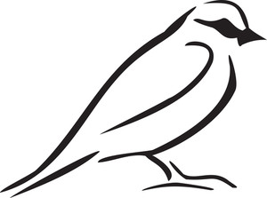 300x223 True Sparrow Royalty Free Vectors