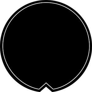 300x299 design and visual identity the msu brand michigan state university