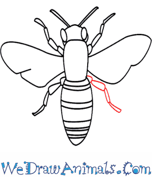 300x350 How To Draw A Bee