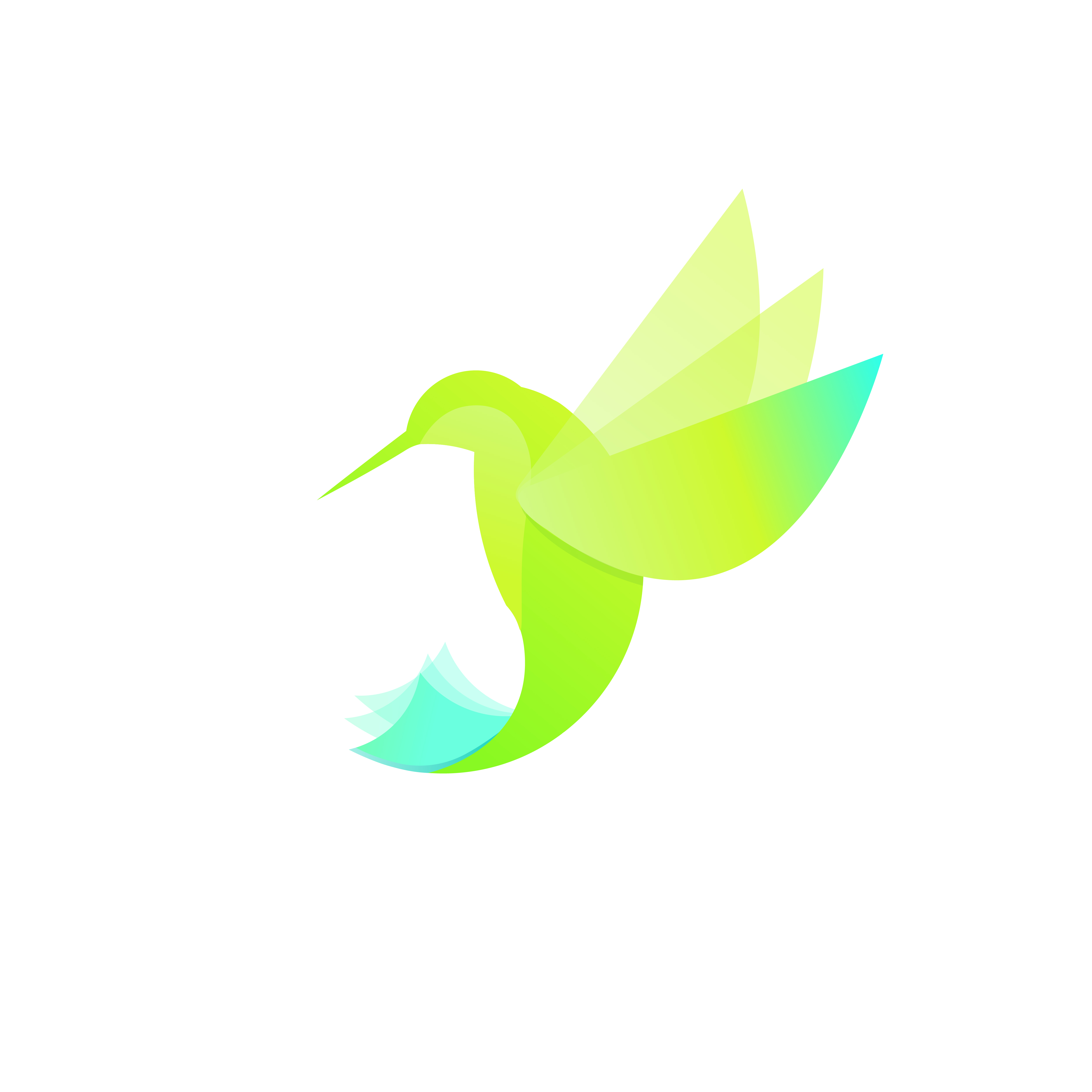 5001x5001 Hummingbird Logo Illustration Of A Bird Species Violetears