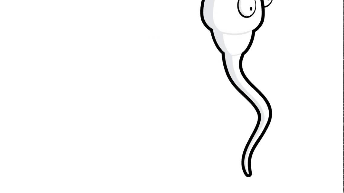 1138x640 How To Draw Sperm
