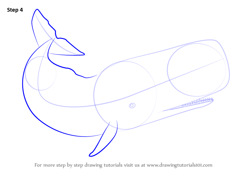 843x596 Learn How To Draw A Sperm Whale