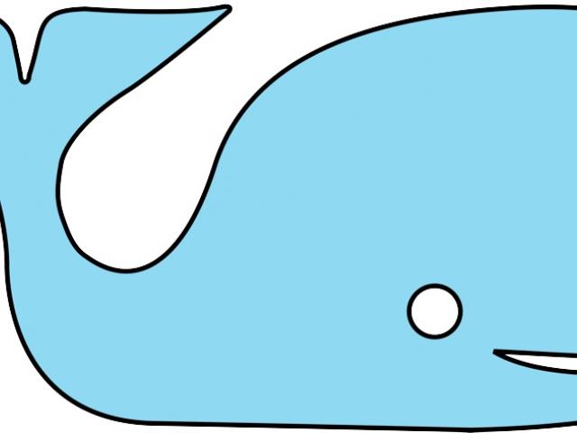 640x480 Sperm Whale Clipart Drawing