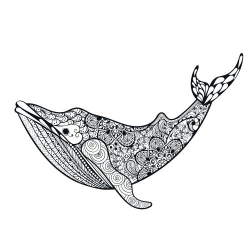 500x500 Sperm Whale Drawing Simple Cartoon Coloring