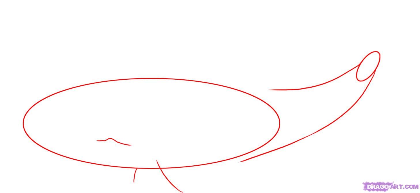 1457x671 how to draw a sperm whale step art whale drawing, whale