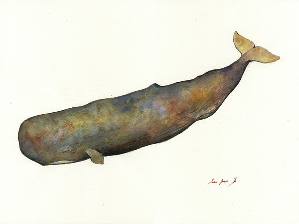 600x449 Sperm Whale Beach Towel For Sale