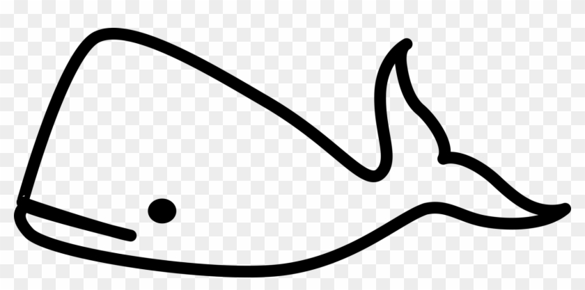 840x417 sperm whale cetacea killer whale beluga whale blue