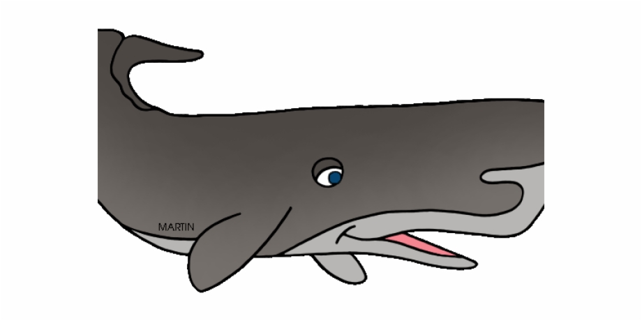 920x460 Sperm Whale Clipart Immense