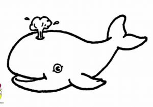 300x210 drawing a whale whale drawings how to draw a sperm whale step
