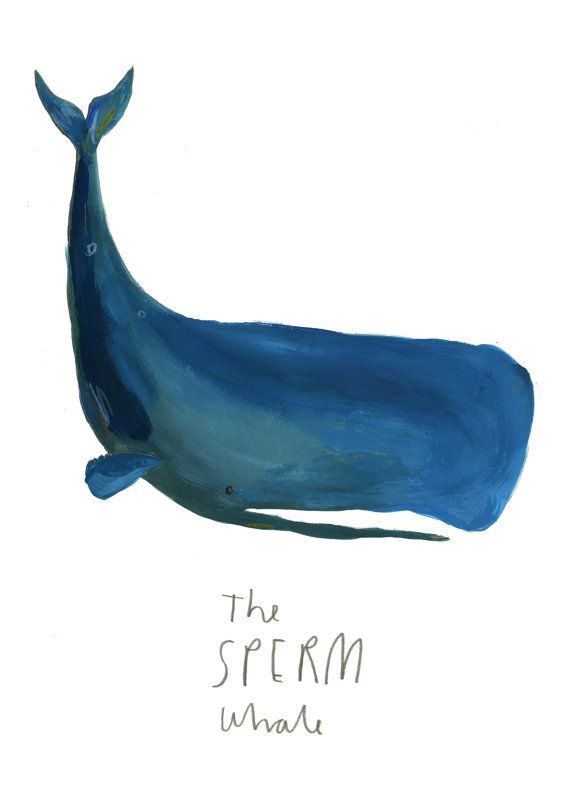 570x806 Sperm Whale Limited Edition Illustration Print