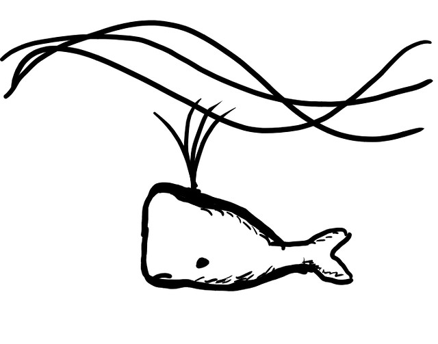 640x503 Whale A Simple Sketch Of A Sperm Whale Kevin