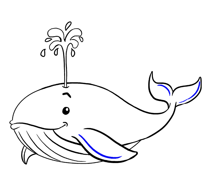 678x600 Huge Collection Of 'blue Whale Line Drawing' Download More Than