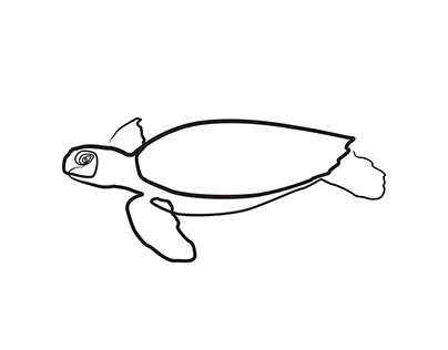 404x316 Sperm Whale On Behance