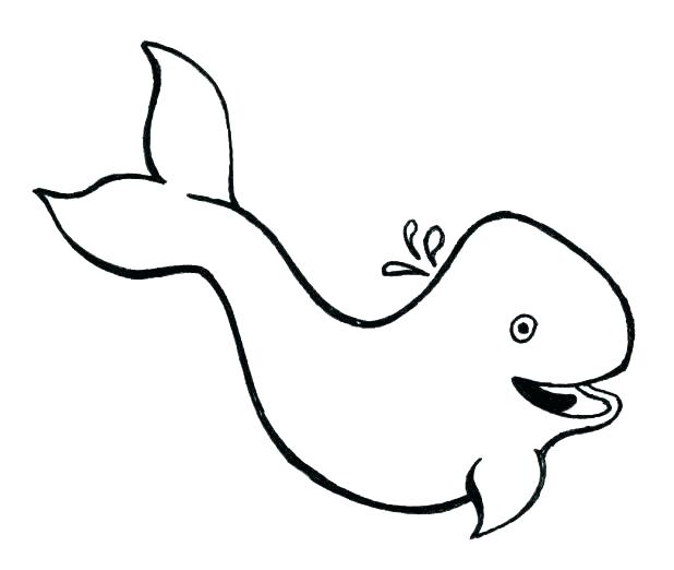618x522 Whale Color