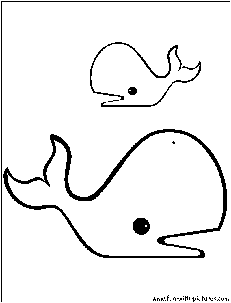 800x1050 Whale Black And White Sperm Whale Clipart Black And White