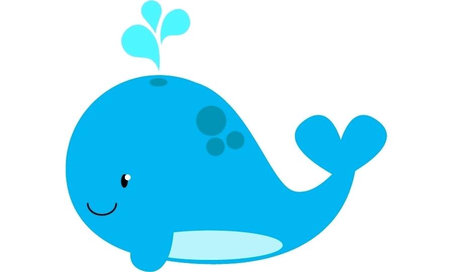 900x540 Drawing A Whale