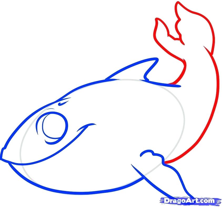 844x788 Easy Way To Draw A Whale