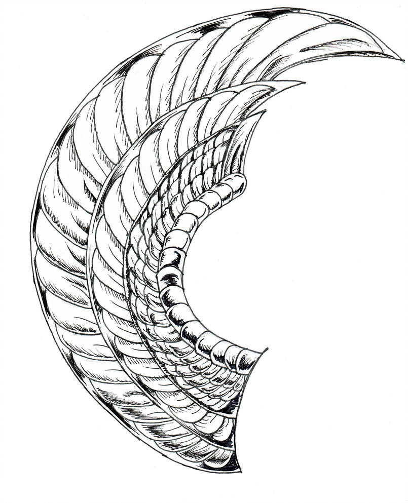 805x993 Sphinx Wings