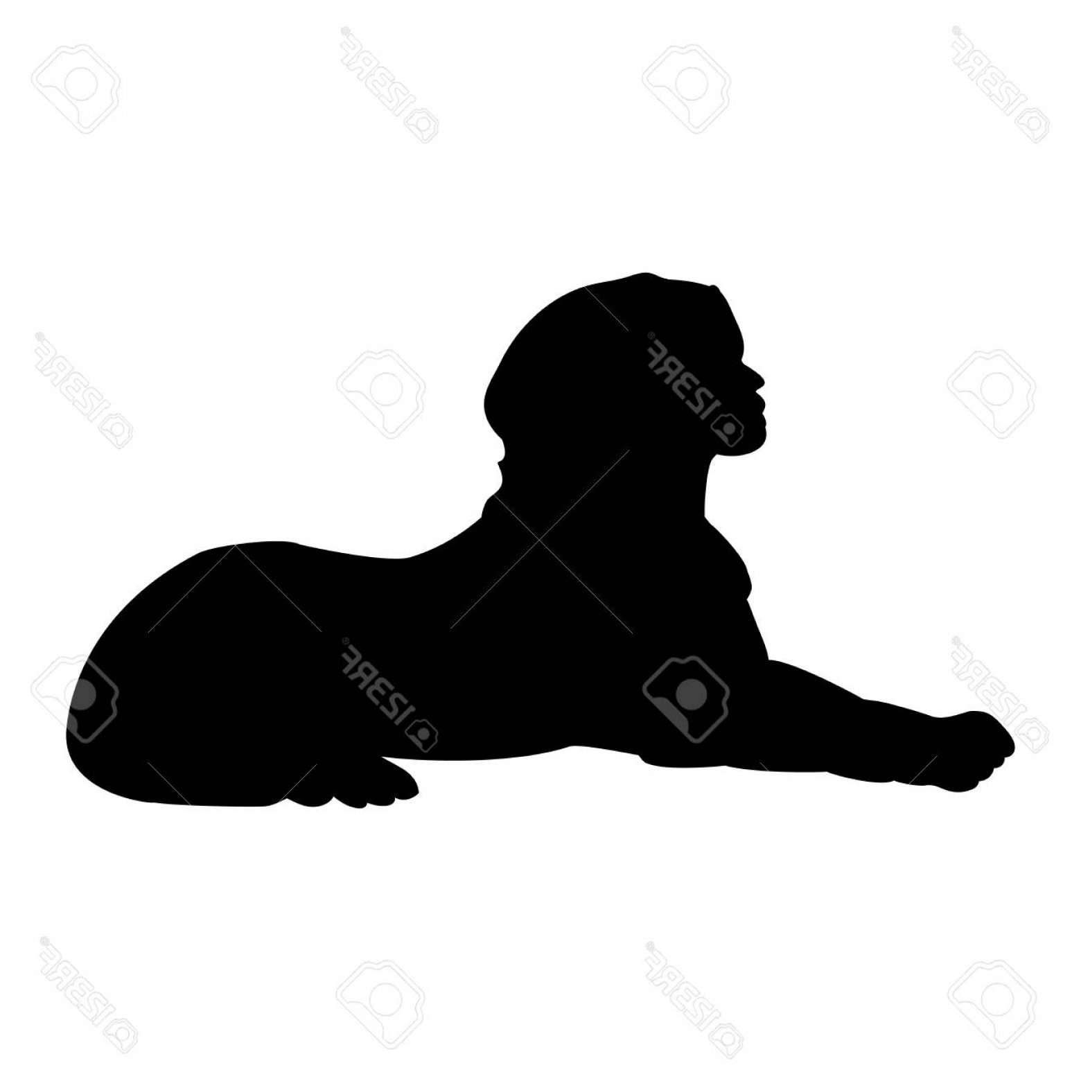 1560x1560 Photostock Vector Sphinx Ancient National Egyptian Silhouette