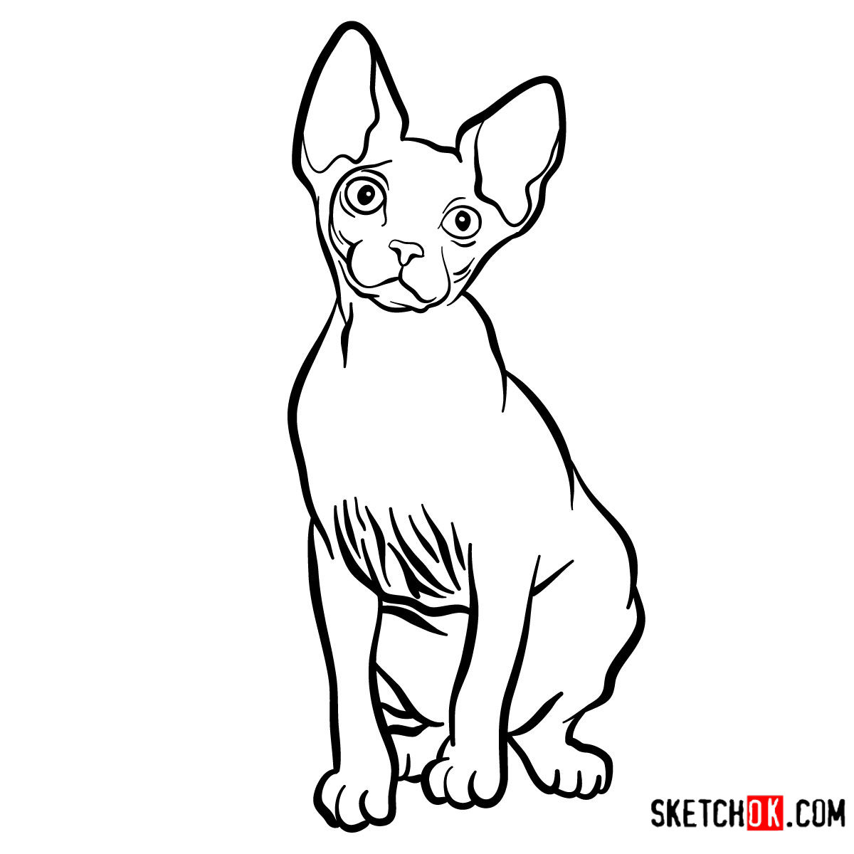 1200x1200 How To Draw The Sphynx Cat