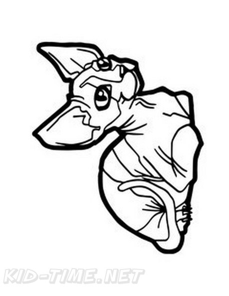 459x594 Images Of Sphynx Cat Coloring Pages