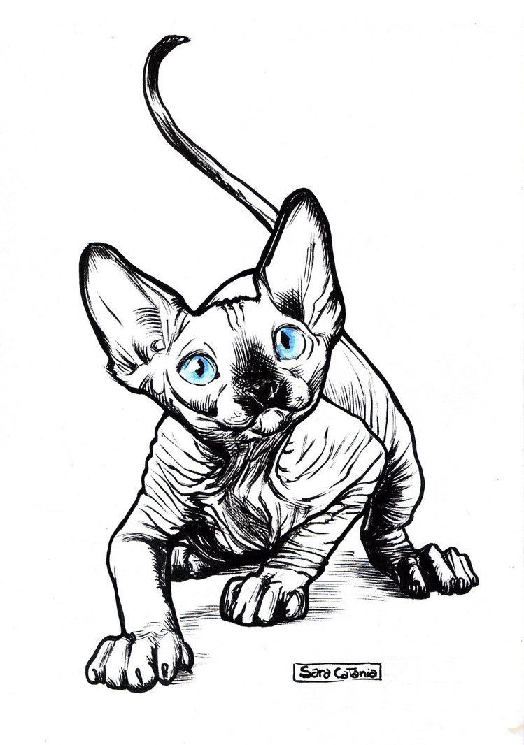 749x1066 Lately I've Been Fascinated