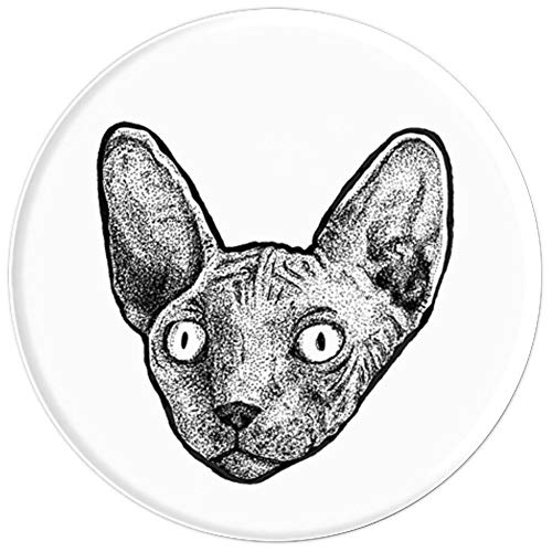 500x500 cool sphynx cat hand drawn tattoo style illustration