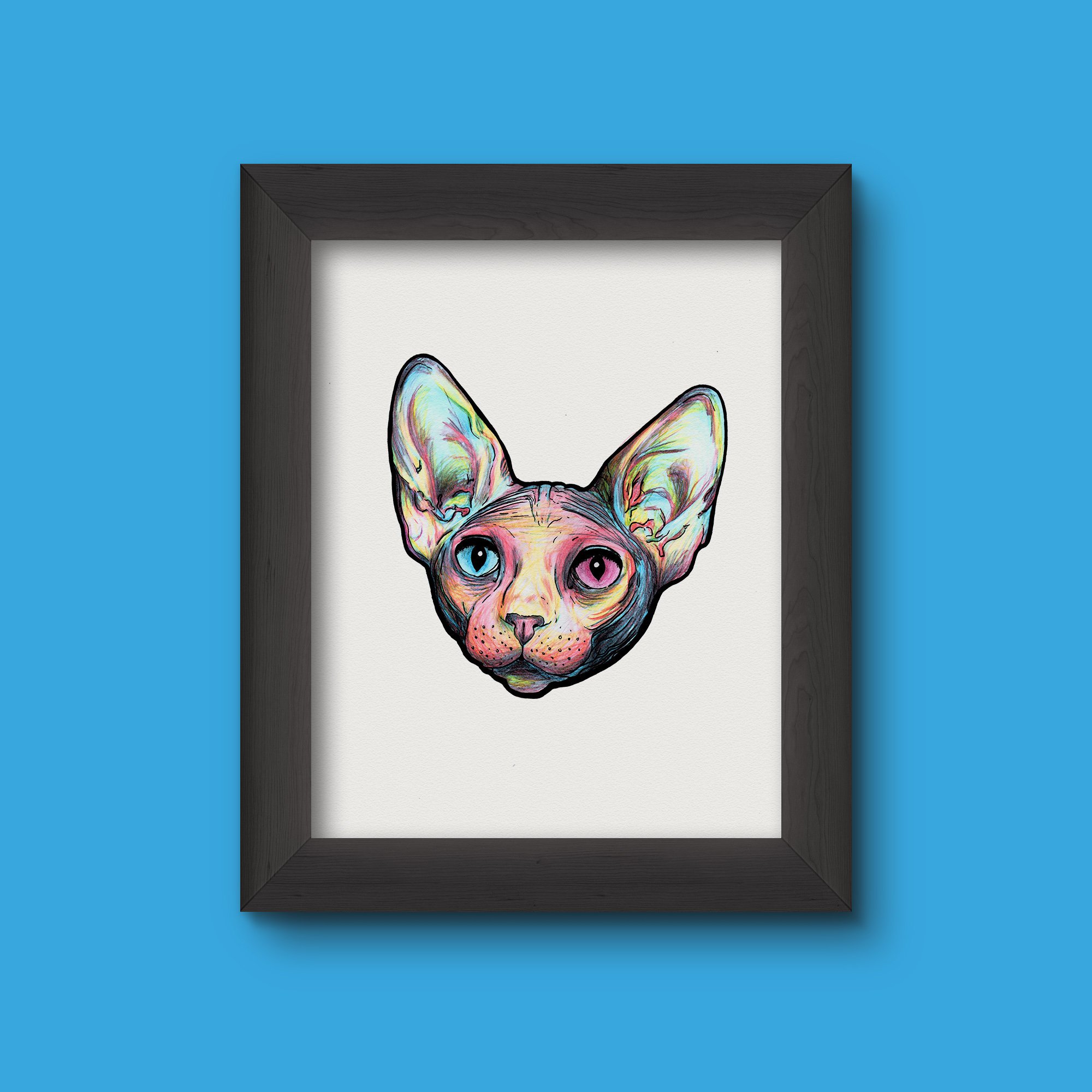 2000x2000 Sphynx Cat Illustration Kitten Kitty Drawing Poster Etsy