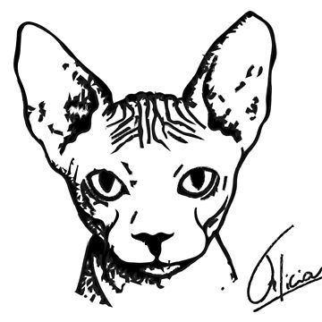 360x360 Sphynx Cat T Shirt