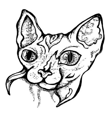 392x400 Black And White Illustration Of A Drawing Of A Beauty Bald Cat