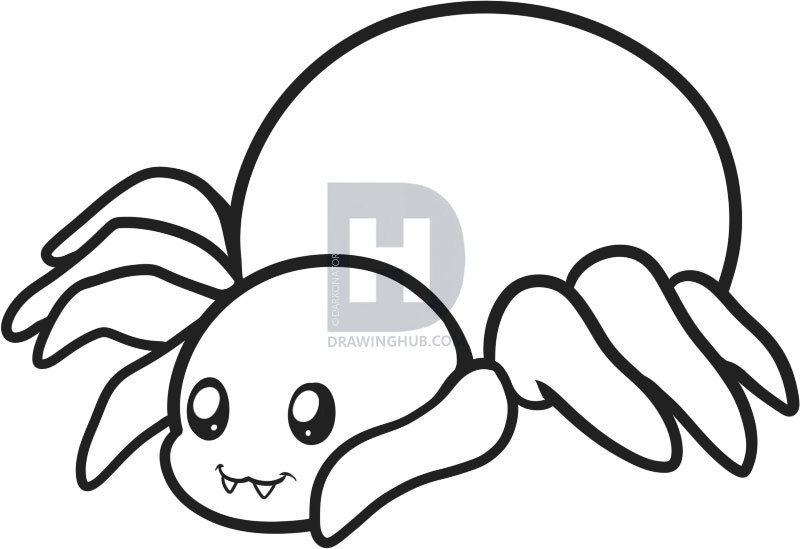 800x549 How To Draw A Spider For Kids, Step