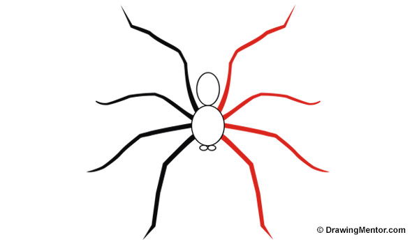 600x350 How To Draw A Spider