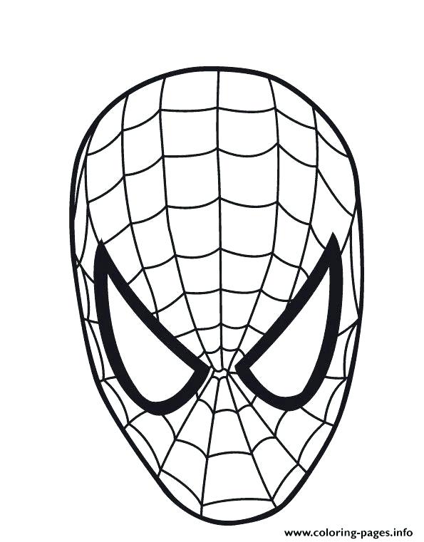 595x761 Simple Spider Web Drawing Simple Spider Web Drawing Basic Spider