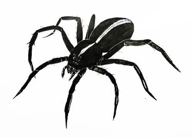 375x270 Spider Drawing