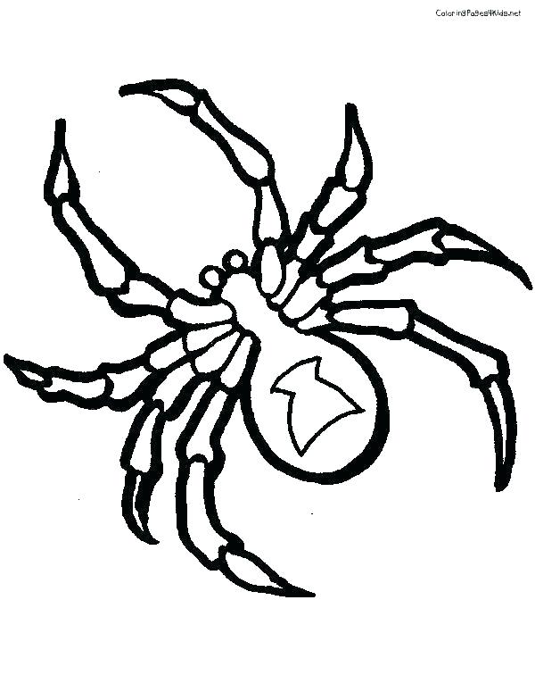 600x756 Spider Drawing For Kids