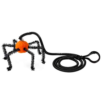 425x425 Tutuba Halloween Cat Toys Kitten Bat Spider Drawing