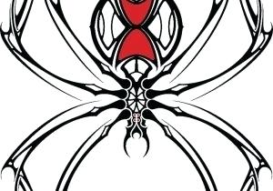 300x210 How To Draw A Easy Spider Image Titled Draw A Spider Step Easy