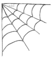 180x198 Spider Web Drawing