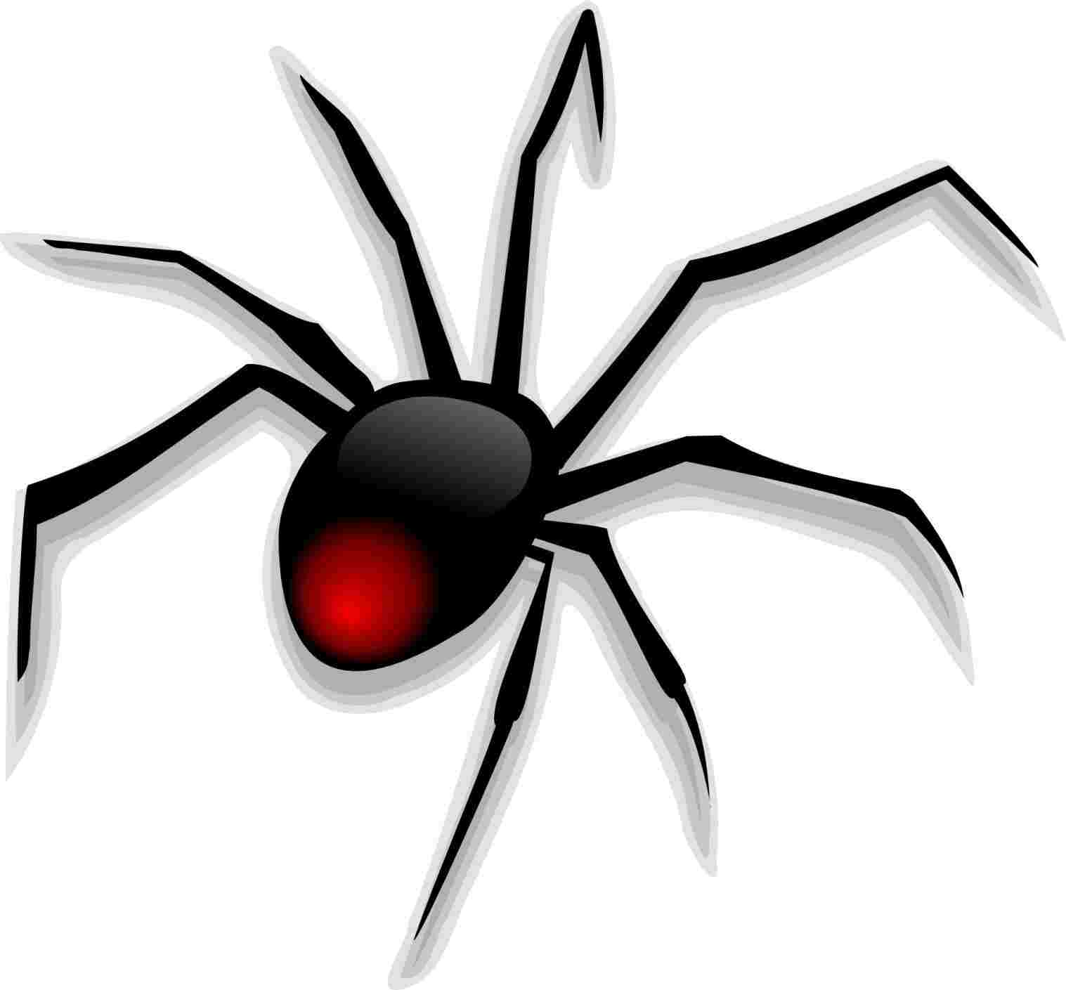 1517x1409 Rhyoutubecom How Cartoon Drawings Of Spiders To Draw Easy Stuff