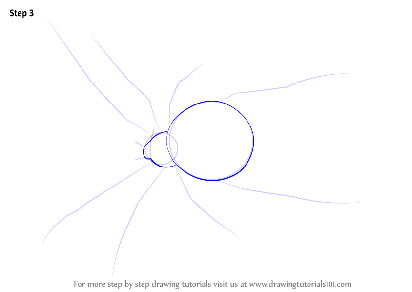 844x598 Learn How To Draw A Redback Spider