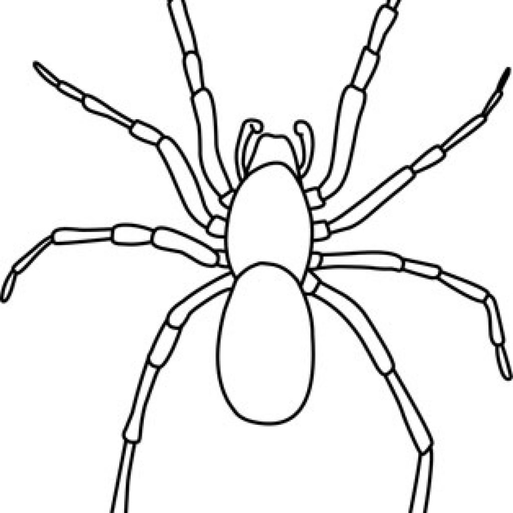 Рисуем паука поэтапно для детей