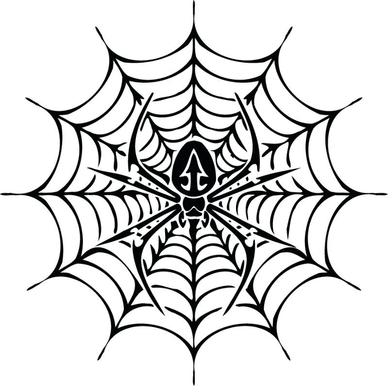799x795 Spider Web Printable Spider Web Printable Luxury Printable Resume