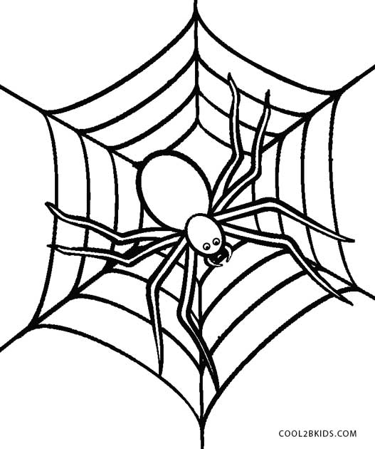 527x630 Free Printable Spider Coloring Pages For Kids