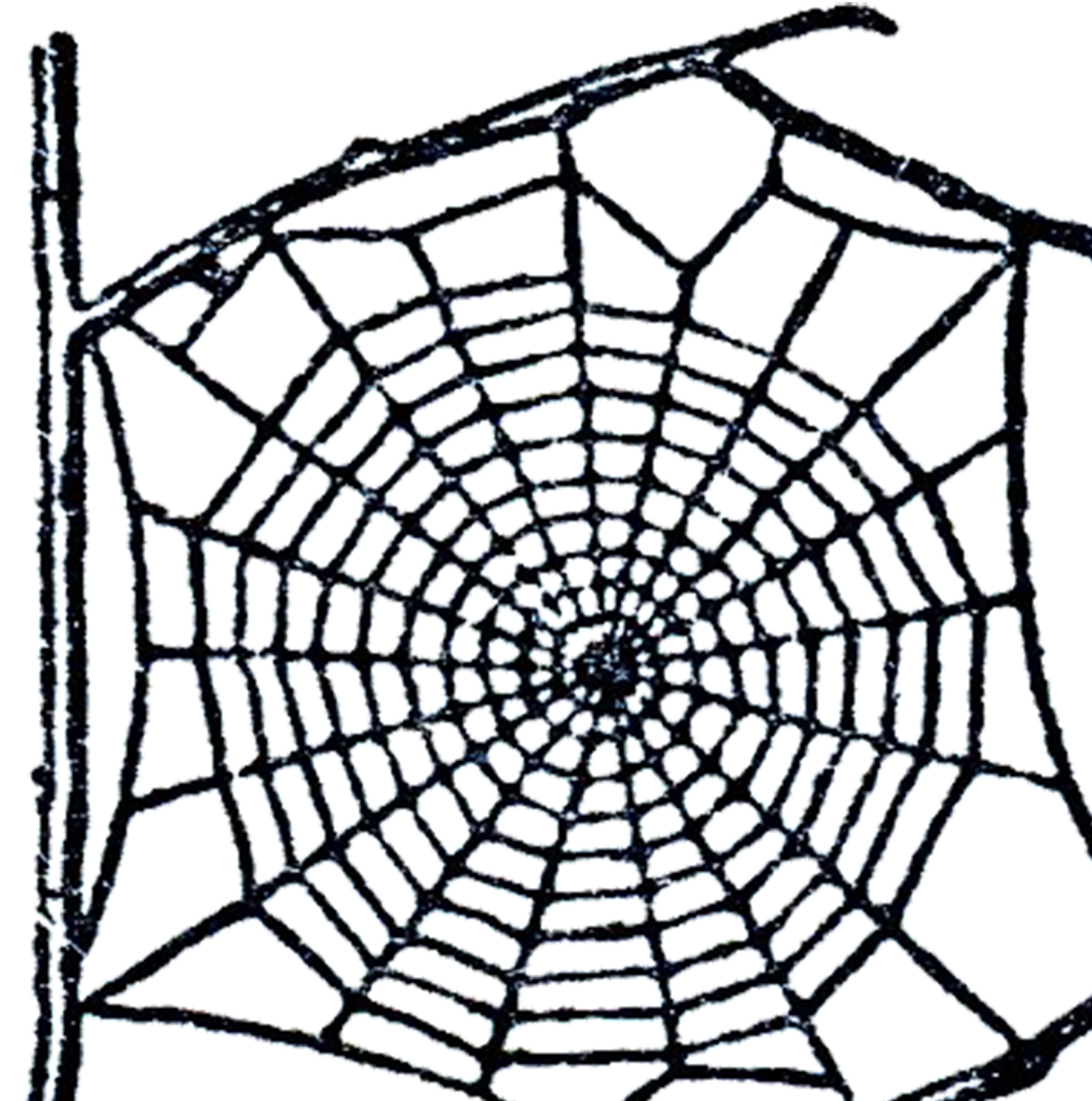 1472x1484 Free Spider Web Clip Art!