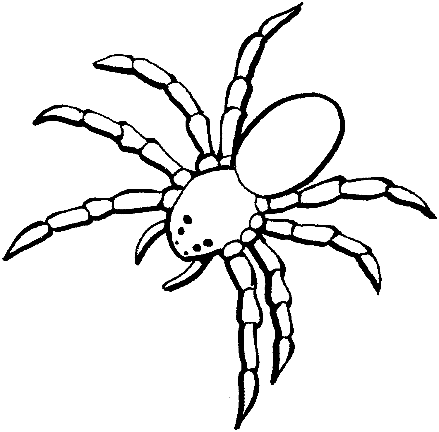 1500x1477 Spider Drawings For Kids